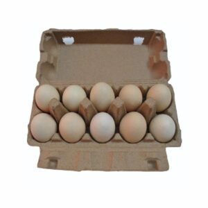 10 Egg Boxes