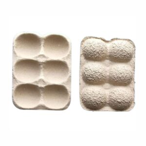 6-Cup Apple Tray