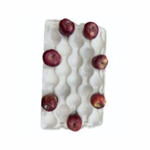 Apple Tray